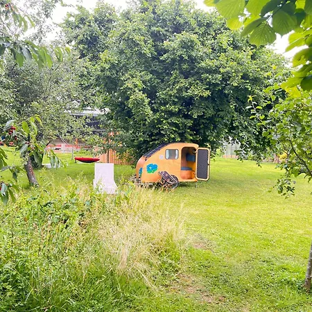 Menava Luksustelt Sinsheim