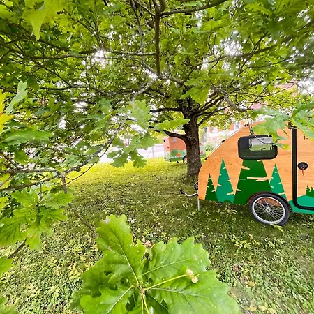 Tinydorf Xxs * 辛斯海姆